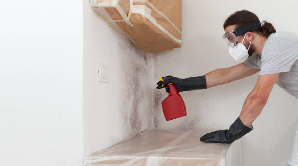 Professional Crawl Space Mold Remediation technician working in Flinton, PA