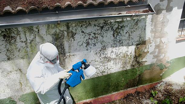 Top rated local Crawl Space Mold Remediation specialists in Flinton, PA